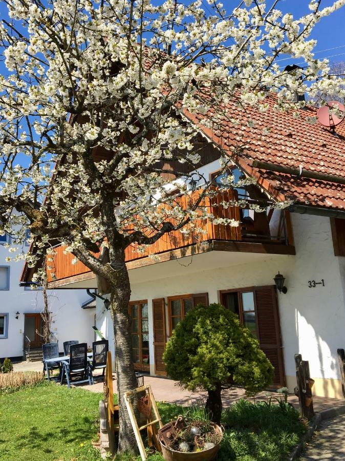 Ferienwohnung Wippenreute Ravensburg Exteriér fotografie